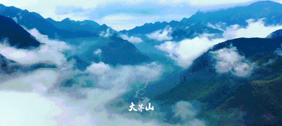 迷失在黑洞里
